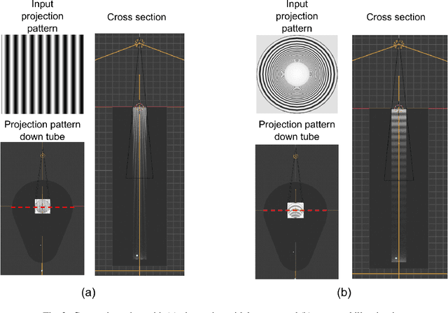 Figure 3 for Designing and simulating realistic spatial frequency domain imaging systems using open-source 3D rendering software