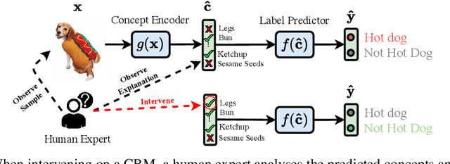 Figure 1 for Learning to Receive Help: Intervention-Aware Concept Embedding Models