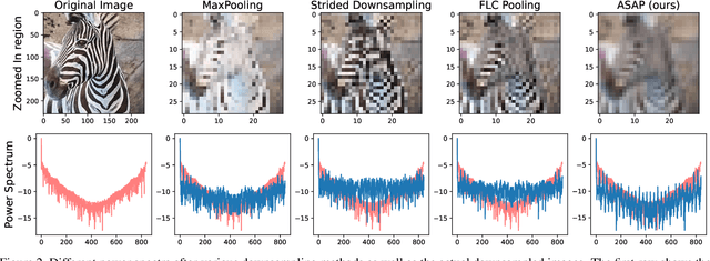 Figure 3 for Fix your downsampling ASAP! Be natively more robust via Aliasing and Spectral Artifact free Pooling