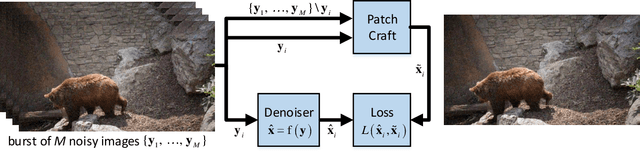 Figure 1 for Patch-Craft Self-Supervised Training for Correlated Image Denoising
