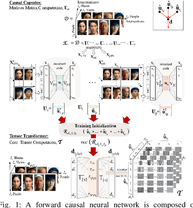 Figure 1 for Causal Deep Learning: Causal Capsules and Tensor Transformers