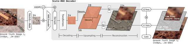 Figure 3 for Scale-MAE: A Scale-Aware Masked Autoencoder for Multiscale Geospatial Representation Learning
