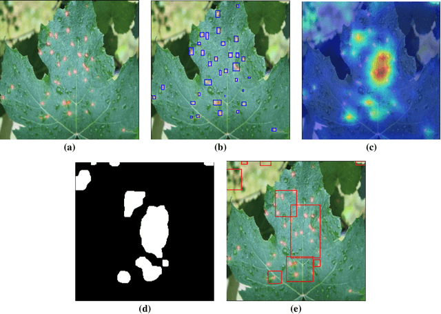Figure 1 for Lesion Detection on Leaves using Class Activation Maps
