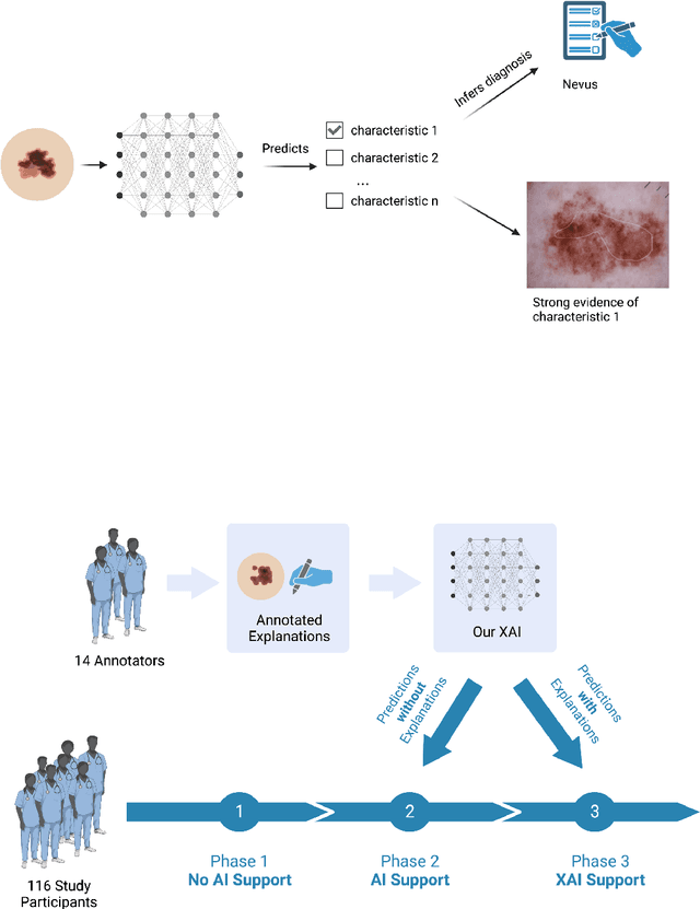 Figure 1 for Dermatologist-like explainable AI enhances trust and confidence in diagnosing melanoma