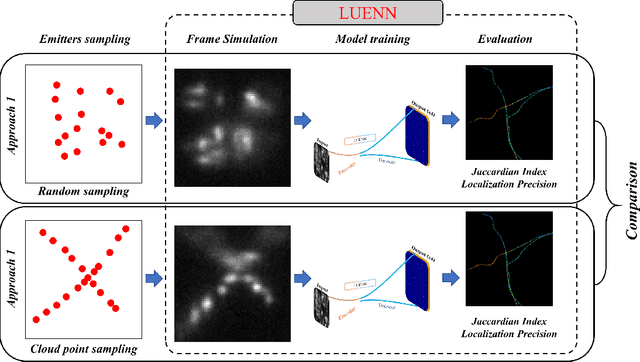 Figure 1 for Effect of structure-based training on 3D localization precision and quality