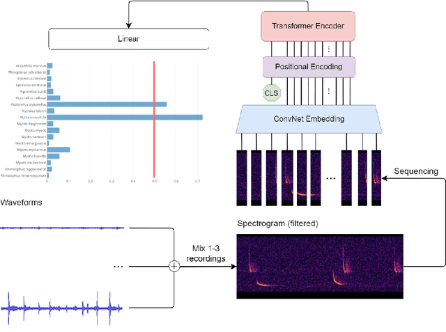 Figure 4 for Automatic Bat Call Classification using Transformer Networks