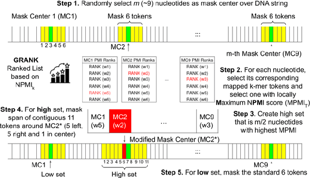 Figure 1 for GeneMask: Fast Pretraining of Gene Sequences to Enable Few-Shot Learning