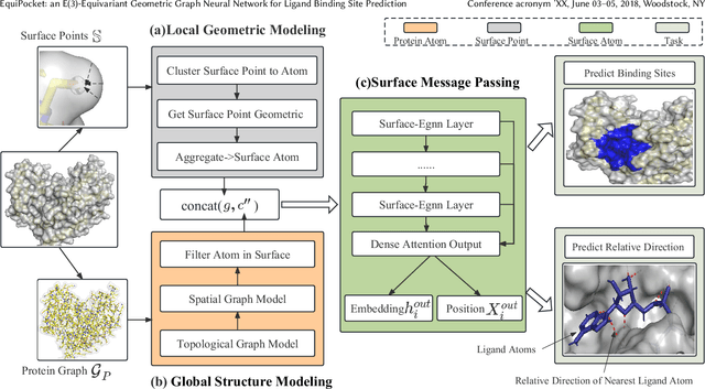 Figure 3 for EquiPocket: an E(3)-Equivariant Geometric Graph Neural Network for Ligand Binding Site Prediction