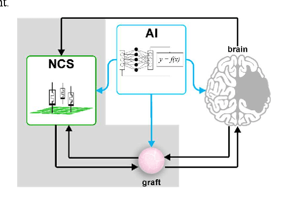 Figure 1 for A Memristor-Inspired Computation for Epileptiform Signals in Spheroids