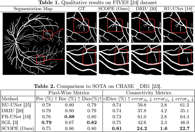 Figure 2 for SCOPE: Structural Continuity Preservation for Medical Image Segmentation