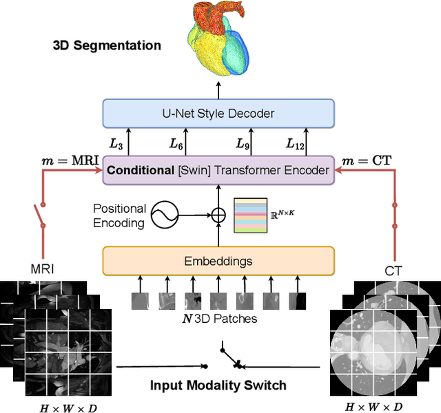 Figure 1 for A Simple and Robust Framework for Cross-Modality Medical Image Segmentation applied to Vision Transformers