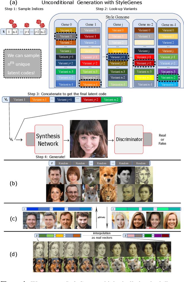 Figure 1 for StyleGenes: Discrete and Efficient Latent Distributions for GANs