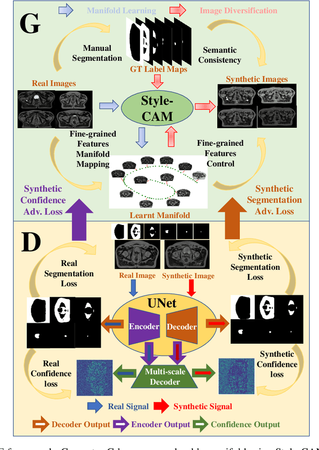 Figure 1 for Explainable Semantic Medical Image Segmentation with Style