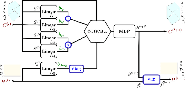 Figure 3 for Technical report: Graph Neural Networks go Grammatical