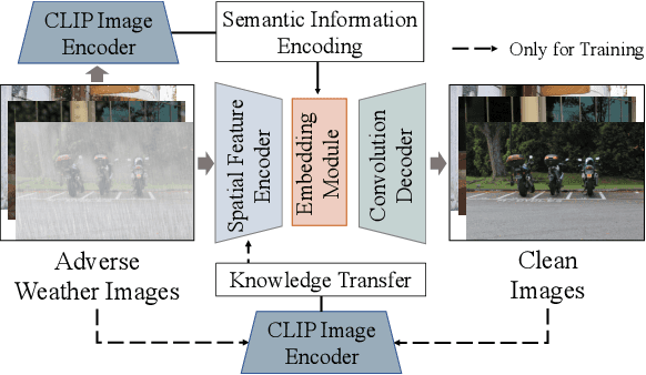 Figure 1 for Exploring the Application of Large-scale Pre-trained Models on Adverse Weather Removal