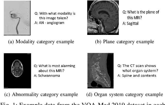 Figure 1 for Visual Question Answering in the Medical Domain