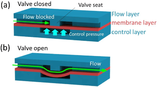 Figure 2 for Design and manufacture of edible microfluidic logic gates