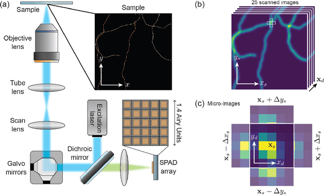 Figure 1 for Reconstructing the Image Scanning Microscopy Dataset: an Inverse Problem