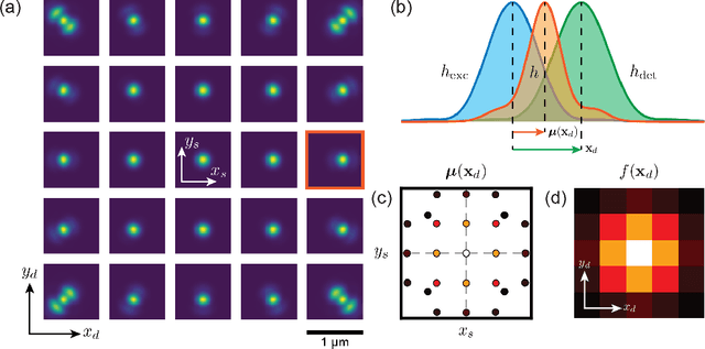 Figure 2 for Reconstructing the Image Scanning Microscopy Dataset: an Inverse Problem