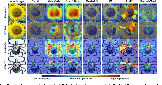 Figure 4 for COSE: A Consistency-Sensitivity Metric for Saliency on Image Classification