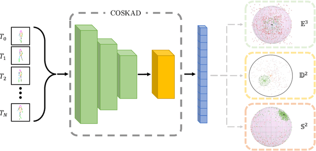 Figure 3 for Contracting Skeletal Kinematic Embeddings for Anomaly Detection
