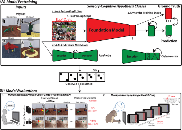 Figure 1 for Neural Foundations of Mental Simulation: Future Prediction of Latent Representations on Dynamic Scenes