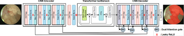 Figure 1 for Redefining cystoscopy with ai: bladder cancer diagnosis using an efficient hybrid cnn-transformer model