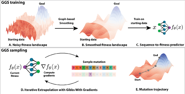 Figure 1 for Optimizing protein fitness using Gibbs sampling with Graph-based Smoothing