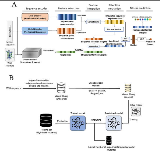Figure 1 for SESNet: sequence-structure feature-integrated deep learning method for data-efficient protein engineering