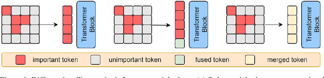 Figure 1 for Muti-Scale And Token Mergence: Make Your ViT More Efficient