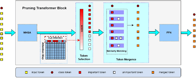 Figure 3 for Muti-Scale And Token Mergence: Make Your ViT More Efficient