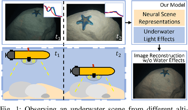 Figure 1 for Beyond NeRF Underwater: Learning Neural Reflectance Fields for True Color Correction of Marine Imagery