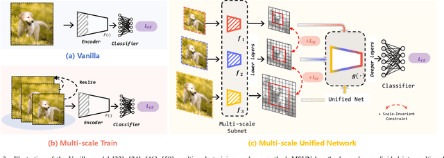 Figure 3 for Multi-scale Unified Network for Image Classification