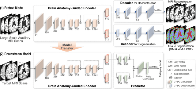 Figure 1 for Brain Anatomy Prior Modeling to Forecast Clinical Progression of Cognitive Impairment with Structural MRI