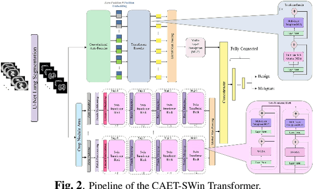Figure 3 for Spatio-Temporal Hybrid Fusion of CAE and SWIn Transformers for Lung Cancer Malignancy Prediction