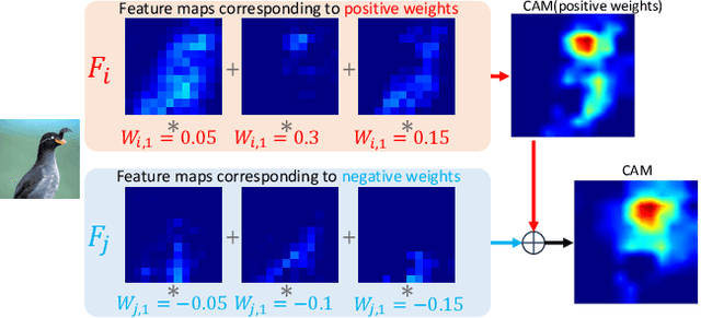 Figure 3 for CAM Back Again: Large Kernel CNNs from a Weakly Supervised Object Localization Perspective