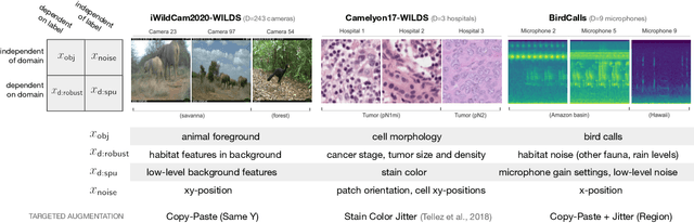Figure 1 for Out-of-Domain Robustness via Targeted Augmentations
