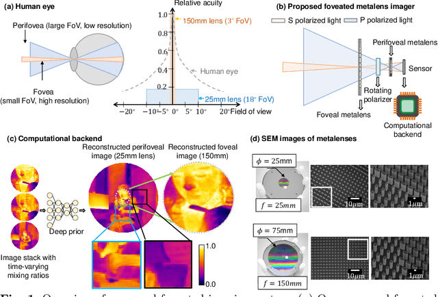 Figure 1 for Foveated Thermal Computational Imaging in the Wild Using All-Silicon Meta-Optics