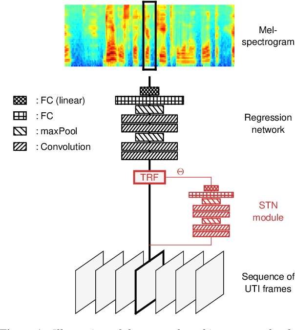 Figure 1 for Adaptation of Tongue Ultrasound-Based Silent Speech Interfaces Using Spatial Transformer Networks