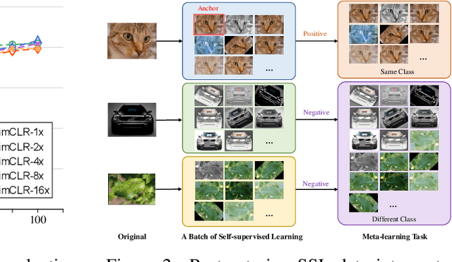 Figure 3 for Unleash Model Potential: Bootstrapped Meta Self-supervised Learning