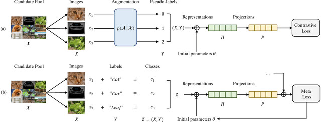 Figure 4 for Unleash Model Potential: Bootstrapped Meta Self-supervised Learning