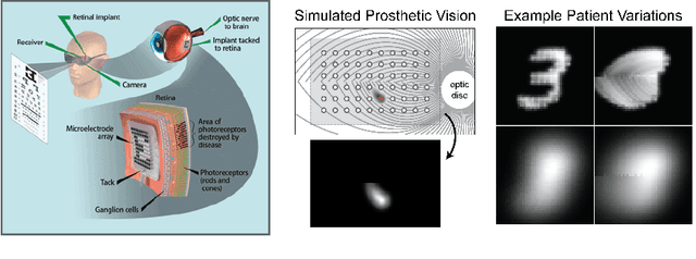 Figure 3 for Human-in-the-Loop Optimization for Deep Stimulus Encoding in Visual Prostheses
