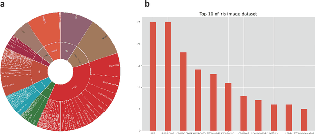 Figure 4 for Deep Learning for Iris Recognition: A Review