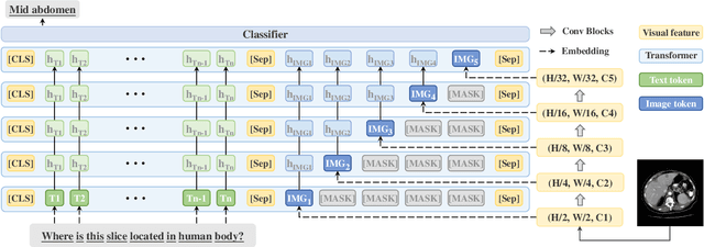 Figure 3 for MF2-MVQA: A Multi-stage Feature Fusion method for Medical Visual Question Answering