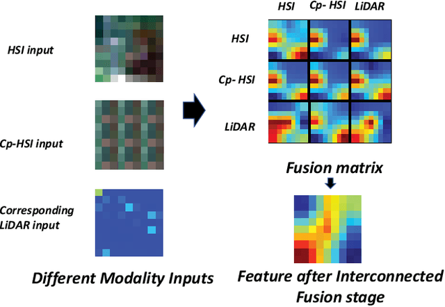 Figure 1 for Multimodal Hyperspectral Image Classification via Interconnected Fusion