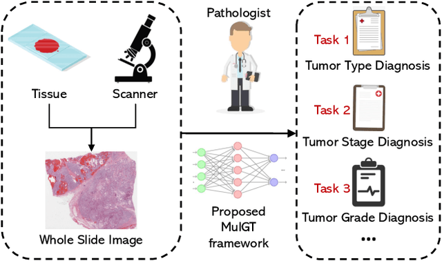 Figure 1 for MulGT: Multi-task Graph-Transformer with Task-aware Knowledge Injection and Domain Knowledge-driven Pooling for Whole Slide Image Analysis