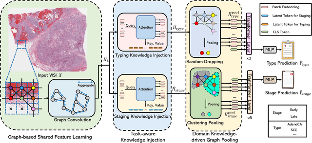 Figure 3 for MulGT: Multi-task Graph-Transformer with Task-aware Knowledge Injection and Domain Knowledge-driven Pooling for Whole Slide Image Analysis