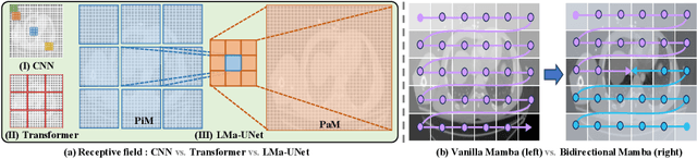 Figure 3 for Large Window-based Mamba UNet for Medical Image Segmentation: Beyond Convolution and Self-attention
