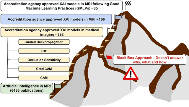 Figure 4 for Developing and deploying deep learning models in brain MRI: a review