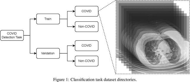 Figure 1 for MIA-3DCNN: COVID-19 Detection Based on a 3D CNN